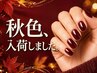 ★人気1位★ 秋色入荷♪エリア最大100色マグネット|フラッシュネイル♪