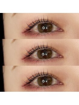 ジョリー(Jolie)/