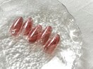 ●ニュアンス定額スタンダード