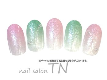 ティーエヌ イオン新潟青山店/3月季節の定額4900円コ―ス