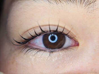 グリ(gris)の写真/話題のマスカラパーマとエクパーマ♪まつ毛の長さを強調して、より上品な大人の目元に導きます