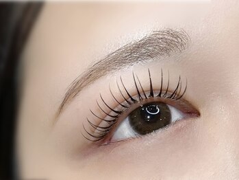 アイラッシュ バイ リノ(Eyelash by:Lino)/＼&Healthy ブラウン120本／