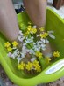 足湯10分無料♪バラの季節が楽しみに♪