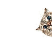 オチョビー(ocho.bee)/