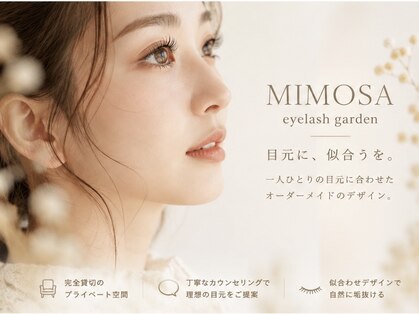 ミモザ(MIMOSA)の写真