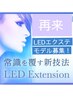 【再来LEDモデル☆フラット80本】3600円