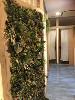 モリノイエ(morinoie)/店内の雰囲気