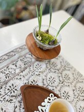 マシュマロハンド/よもぎ蒸し/冷え/むくみ改善