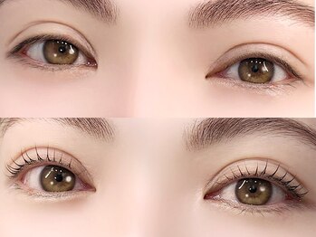 ティーズラッシュ アンド ブロウ ケービューティー 新浦安(T's Lush & Brow K-beauty)/まつげパーマ/眉毛サロン