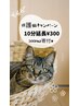 5/18~27来店限定★保護猫キャンペーン★10分延長が¥300に!※クーポン詳細へ