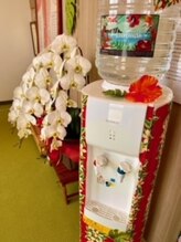 ナチュラル整体 優貴/整体後のお水は大事☆