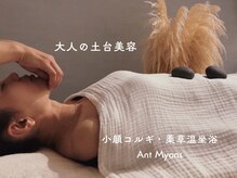 アントミョンス(Ant Myons)
