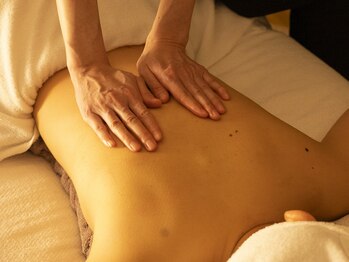 モルフォ(Morpho.)/