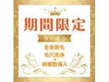 パールプラス 桑名店(Pearl plus)