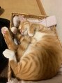 彩さ美 松山本店 実家の猫を愛しています!!