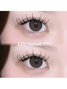 ルポア バイ ヴィブリス(leffoi by VIBLiSS)/LED flatlash 120