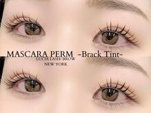 ルシアラッシュブロウ 銀座(LUCIA LASH BROW)/マスカラパーマ/まつげパーマ