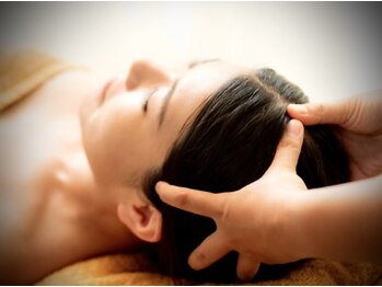 アステリズム(Asterism)/Asterism店内