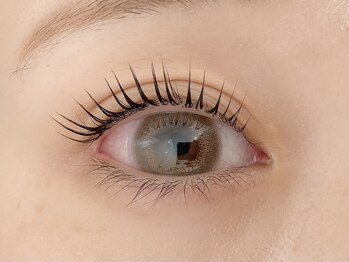 アイクイック 亀戸店(Ai Quick)/パリジェンヌラッシュリフト