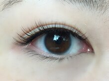 ニジュウバンチ クダマツ(20Banchi Kudamatsu)/セーブル120本