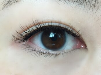 ニジュウバンチ クダマツ(20Banchi Kudamatsu)/セーブル120本