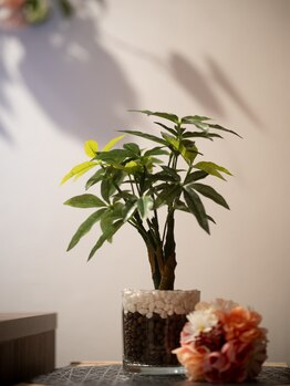 グイット 川崎東口店(Goo-it!)/リラックスできるひとときを