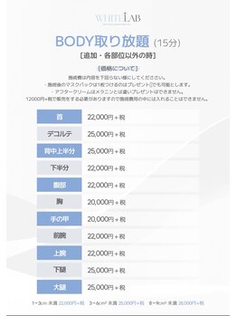 ルポザメンテナンス 長岡店(RUPO THE MAINTENANCE)/シミ除去WHITE LAB料金表