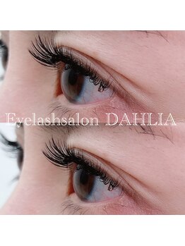 ダリア(DAHLIA)/ボリュームラッシュ