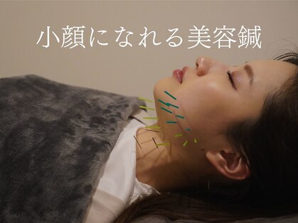 コガオ レンネ(Lenne)の写真
