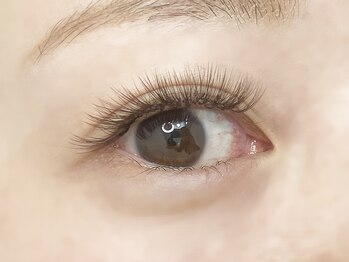 アルボ フレスポ赤道店(arvo)/【マツエク】ボリュームラッシュ