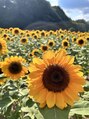 彩さ美 松山本店&nbsp;お花を見に行くのが好きで、特にひまわりが好きです♪