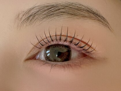 シャルルー(chaleureux)の写真