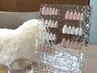 【Bridal Nail】ブライダル定額design ￥7,500
