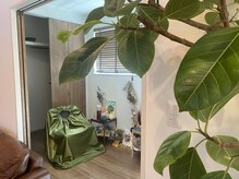 ハイノキ/オーガニックよもぎ蒸し