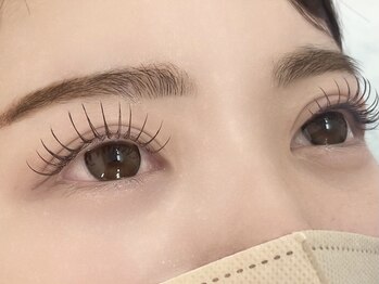 ルピナス 川口(Lupinus)/フラットラッシュ120本