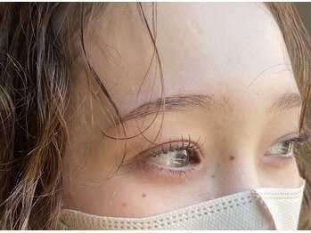 トレンチ(TRENCH)/フラットラッシュブラウン120本