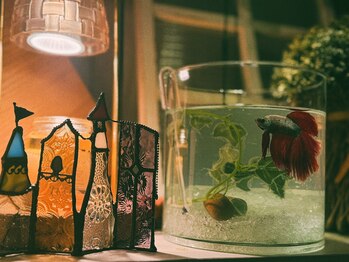 ゆるりら/ゆるりら ゆる子