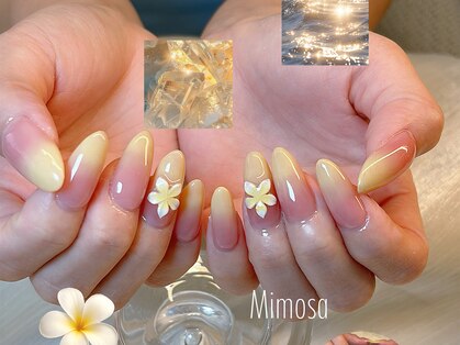ミモザ 吉祥寺(Mimosa)の写真