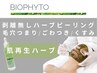 【剥離無しハーブピーリング】BIOPHYTO｜120分 15,000円