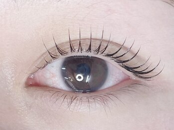 ミディプラス(middy plus)/_まつげパーマ_