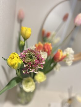 マシュマロハンド/ドライヘッドスパ/よもぎ蒸し