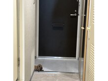 土足でどうぞ。段差ございますのでお足元お気を付けください