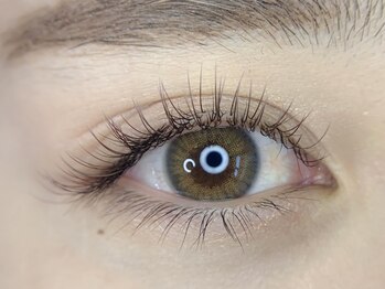 チルシー(Chilsea)/フラットラッシュ120本 カラー