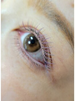 サンシェール(sincere.R)/カラエク上下