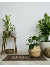 アンジール(ANJIR)/