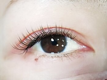 トミー リラ(Tommy Lila)/