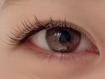 カラン 焼津店(CALIN)/フラットラッシュ120本