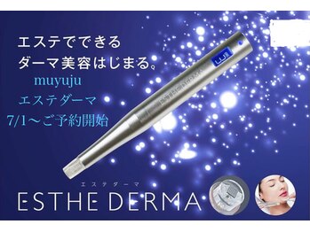 ムユウジュ(muyuju)/エステダーマ注意事項、流れ