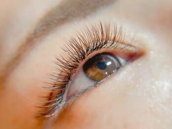 ベベ(bebe)/フラットラッシュ*カラー*