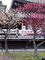 アイビー 大形店(IVY) 梅の木、咲いてました。皆さんの努力が実りますように！
